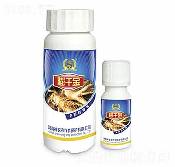 ��ˎ�Č�(zhu��n)���~���-��ǧ��-�������r(n��ng)