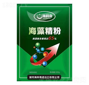 ���徫��-������