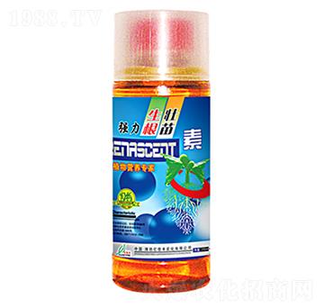 ��(qi��ng)����������-�|���S