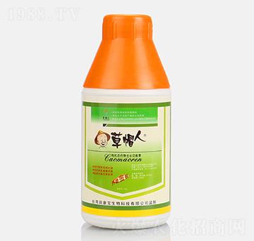 �ЙC(j��)�B(t��i)�������L(zh��ng)������-��ñ��-�￵��