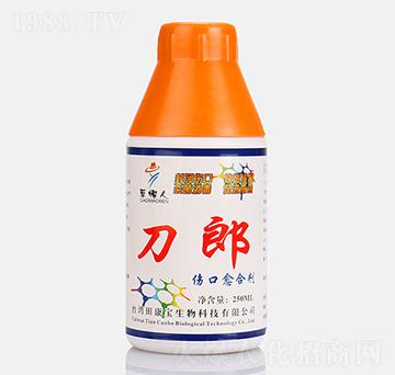 �������τ�-����-�￵��