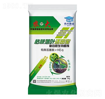 �ЙC(j��)���ϸ��섩-��֦���~߀�-�r(n��ng)�����B(t��i)