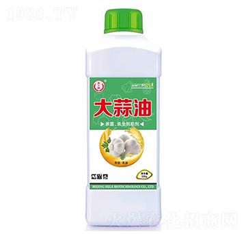 �����͚������x����-���S�@-�̘�����