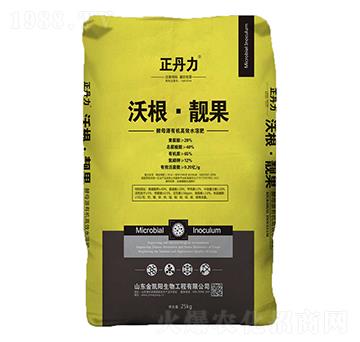 �ָ����n��-������-���P�