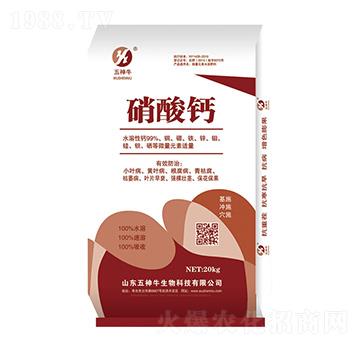 �����}-����ţ