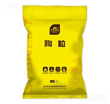 ����-ʷ����