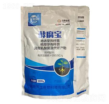 �͸���-�ډѴT�S-��������