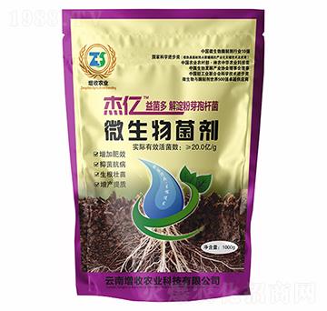 �����ѿ�ߗU��-�܃|�����-�����r�I(y��)