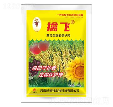 100g�w�������ܱ��o(h��)�W(w��ng)-���w-������