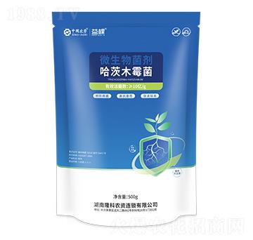 ΢�������������ľù��-���