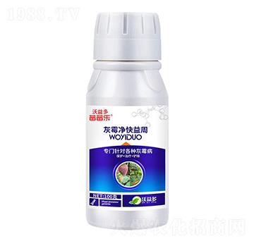 ��ù��������-ݮݮ��-�����