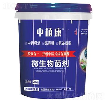 ΢�������-��ֲ��