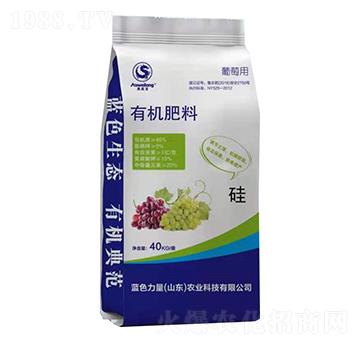 �W�������ь����ЙC����-�{ɫ����