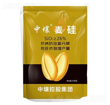 ����-����