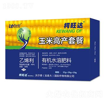 ���׸߮a�����ײ�-����