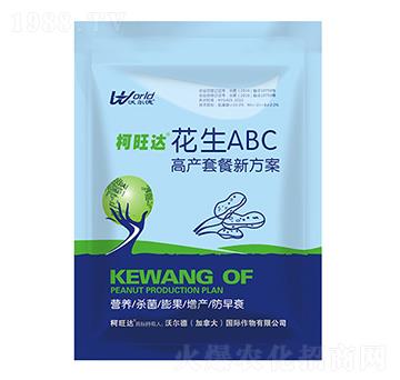 ����ABC���a�ײ�-��