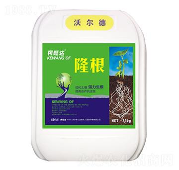 ¡��-�����_-�֠����r