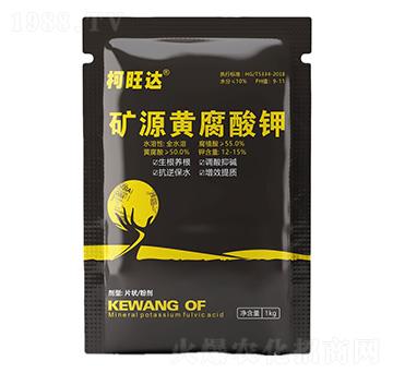 �VԴ�S�����-�����_-