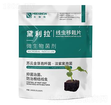 ���x(ch��ng)����Ƭ-������-��٤�z