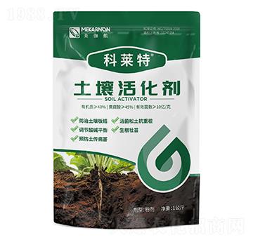 ʿ�����-���R��-��٤�z