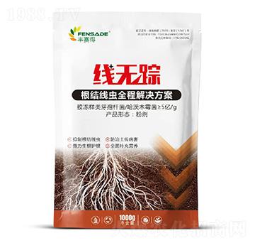 ���Y(ji��)���xȫ�̽�Q����-���oۙ-�Sِ��