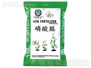 �����壨UP��-��(chu��ng)��(li��n)�S