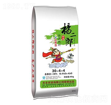 ����͓������30-4-4-�����-���S�ʘI(y��)