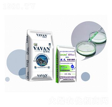 �M�ڷ���-����}-�Kӯ(li��n)���B(t��i)