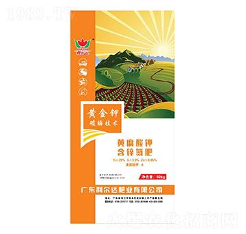 �S����⛺��\����-�S���-�����_�ʘI(y��)