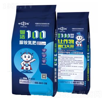 �ǻ�100-�尷����28N�������-�к�