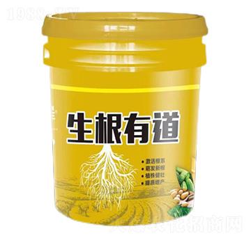 �����е�-�����S-�����_(d��)����