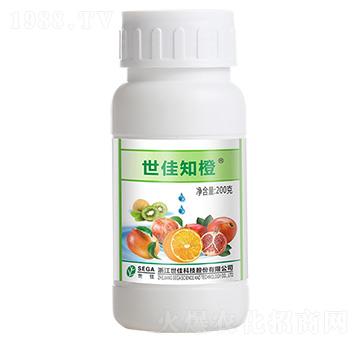 ����֪��-����