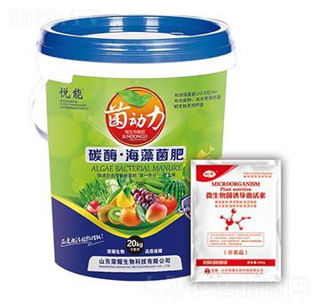 ̼ø���������-����(d��ng)��-�sҫ�r(n��ng)�I(y��)