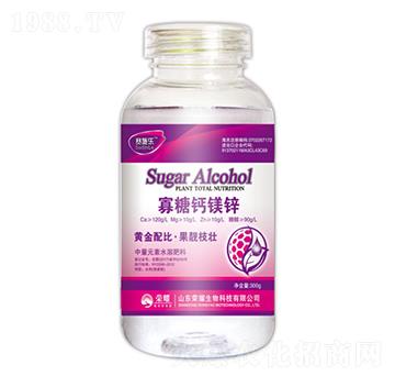 �����}�V�\-ِʩ��-�sҫ�r(n��ng)�I(y��)