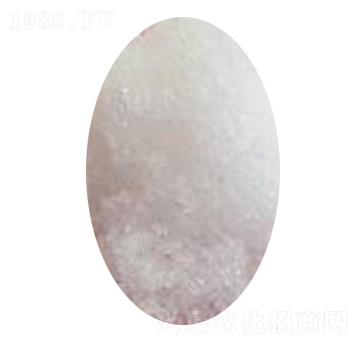 �����@�}-�Є�(chu��ng)�dԴ