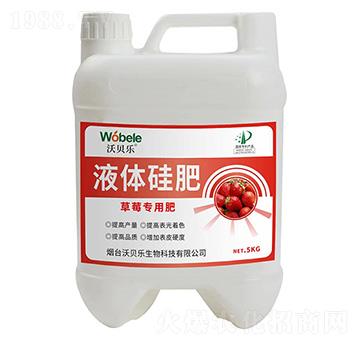 ��ݮ��(zhu��n)��Һ�w���-��ؐ��(l��)