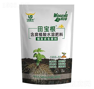 ���l(f��)ʽ������-���-�ָ�ţ