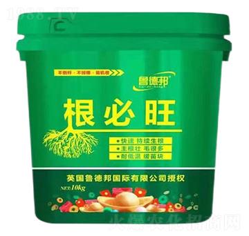 �������_ʩ��-��?sh��)°? />
                                </div>
                            </div>
                            
                            <style type=