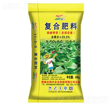 ������͏ͺϷ�11-5