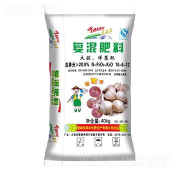 ���������[��(f��)�����10-6-12-����(r��n)�S