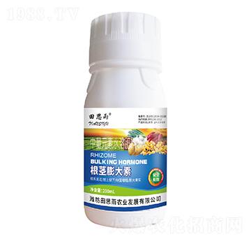 ���o�����-��˼���r(n��ng)�I(y��)