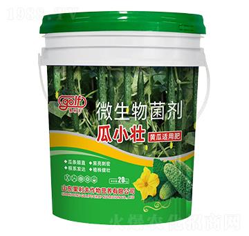 黃瓜適用肥-瓜小壯-果利夫