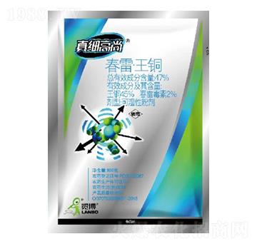 47%���ס����~WP-�漚(x��)����-һ�[�Ƽ�