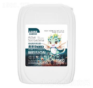 ΢�������-��˹�š�������-���]��˹