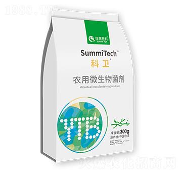 �r(n��ng)��΢����������ž���̖(h��o)��-���l(w��i)-ס�̷���