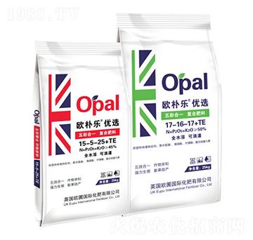 ��ʺ�һ��(f��)�Ϸ���-�W�㘷(l��)