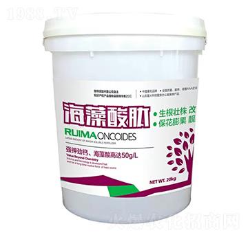 �������ě_ʩ��-�̶�����