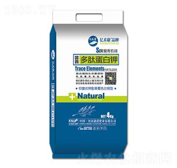 ��̦���ĵ����-�|�̿�-���Z�ʘI(y��)