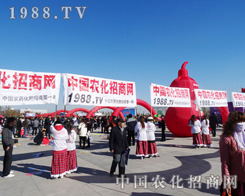 �r(n��ng)���W(w��ng)�ü����c(di��n)ȼ2013��|����ʡ�����p����(hu��)