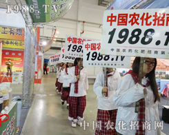 2013�꼪���L�����ϕ��ψF(tu��n)꠵ĸ���